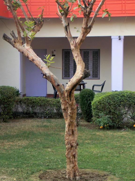 Hotel Goverdhan Tourist Complex Fatehpur Sīkri Eksteriør bilde